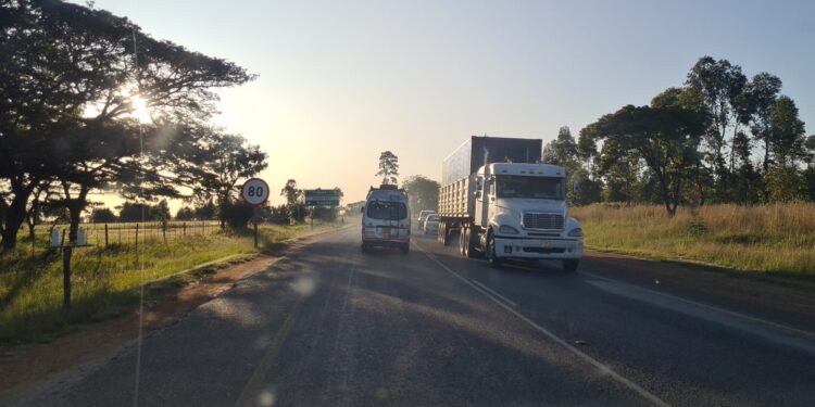 Muzyczne Podróże. Harcerska Afryka / Fot. Ludwik Pisarski