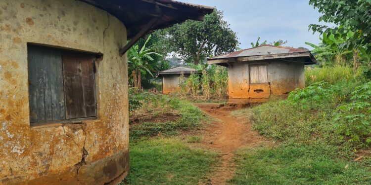 Muzyczne Podróże. Harcerska Afryka / Fot. Ludwik Pisarski