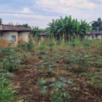 Muzyczne Podróże. Harcerska Afryka / Fot. Ludwik Pisarski