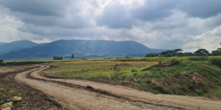 Muzyczne Podróże. Harcerska Afryka / Fot. Ludwik Pisarski