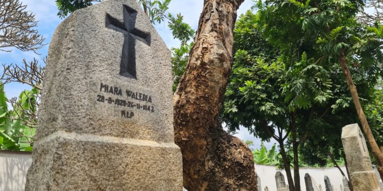 Muzyczne Podróże. Harcerska Afryka / Fot. Ludwik Pisarski