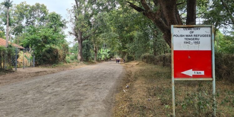 Muzyczne Podróże. Harcerska Afryka / Fot. Ludwik Pisarski