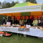 23.10.2022. Ostrowiec Świętokrzyski. Dyniowy bieg po szczęście / Fot. Emilia Sitarska - Radio Kielce