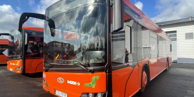 Ostrowiec Świętokrzyski. Hybrydowe autobusy Solaris / Fot. Emilia Sitarska - Radio Kielce