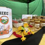 23.10.2022. Ostrowiec Świętokrzyski. Dyniowy bieg po szczęście / Fot. Emilia Sitarska - Radio Kielce