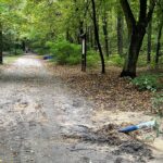 Kielce. Stadion Leśny / Fot. Marek Orkisz - Radio Kielce