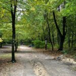 Kielce. Stadion Leśny / Fot. Marek Orkisz - Radio Kielce