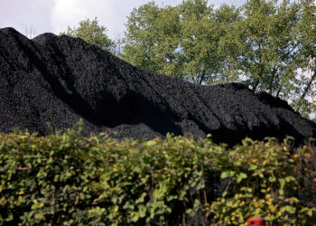 Wnioski rolników o zakup miału węglowego będą rozpatrywane w kolejności nadchodzących zgłoszeń - Radio Kielce