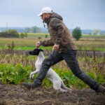 20.10.2022. Pińczowskie. 23. Międzynarodowe Field Trialsy. / Fot. Milena Oleszczuk