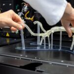 Fot. Robert Stachnik - Radio Szczecin