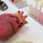 Fot. Robert Stachnik - Radio Szczecin