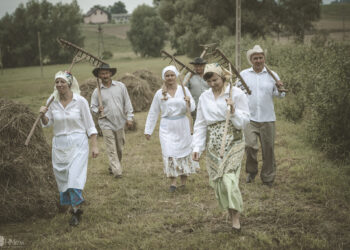 Boszczynek. Zdjęcia z planu filmowego o tradycyjnych sianokosach / Fot. Marcin Hołda