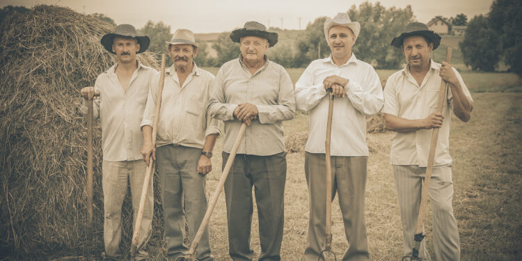 Boszczynek. Zdjęcia z planu filmowego o tradycyjnych sianokosach / Fot. Marcin Hołda