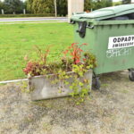 12.10.2022. Końskie / Fot. Magdalena Galas-Klusek - Radio Kielce