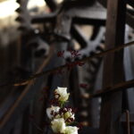 23.10.2022. Maleniec. Floryści przyozdobili maszyny. / Fot. Magdalena Galas-Klusek - Radio Kielce