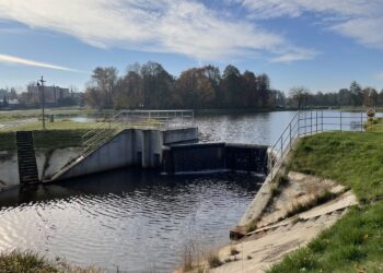 Końskie. Stawy Browary / Fot. Magdalena Galas-Klusek - Radio Kielce