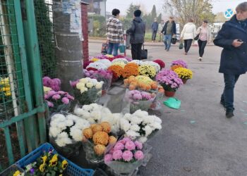 27.10.2022. Skalbmierz. Targowisko przy ulicy Kopernika. Chryzantemy / Fot. Marta Gajda – Radio Kielce