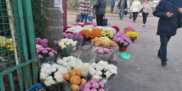 27.10.2022. Skalbmierz. Targowisko przy ulicy Kopernika. Chryzantemy / Fot. Marta Gajda – Radio Kielce