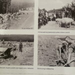 14.10.2022. Kielce, WDK. Wystawa „Junackie Hufce Pracy”. / Fot. Iwona Murawska - Radio Kielce