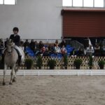 08.10.2022. Michałów. XIII Sportowe Mistrzostwa Polski Koni Arabskich Czystej Krwi / Fot. Marta Gajda - Radio Kielce