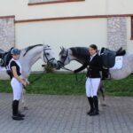 08.10.2022. Michałów. XIII Sportowe Mistrzostwa Polski Koni Arabskich Czystej Krwi / Fot. Marta Gajda - Radio Kielce