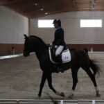 08.10.2022. Michałów. XIII Sportowe Mistrzostwa Polski Koni Arabskich Czystej Krwi / Fot. Marta Gajda - Radio Kielce