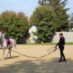 08.10.2022. Michałów. XIII Sportowe Mistrzostwa Polski Koni Arabskich Czystej Krwi / Fot. Marta Gajda - Radio Kielce