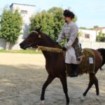 08.10.2022. Michałów. XIII Sportowe Mistrzostwa Polski Koni Arabskich Czystej Krwi / Fot. Marta Gajda - Radio Kielce