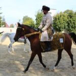 08.10.2022. Michałów. XIII Sportowe Mistrzostwa Polski Koni Arabskich Czystej Krwi / Fot. Marta Gajda - Radio Kielce