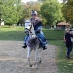 08.10.2022. Michałów. XIII Sportowe Mistrzostwa Polski Koni Arabskich Czystej Krwi / Fot. Marta Gajda - Radio Kielce