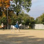 08.10.2022. Michałów. XIII Sportowe Mistrzostwa Polski Koni Arabskich Czystej Krwi / Fot. Marta Gajda - Radio Kielce