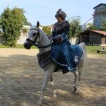 08.10.2022. Michałów. XIII Sportowe Mistrzostwa Polski Koni Arabskich Czystej Krwi / Fot. Marta Gajda - Radio Kielce