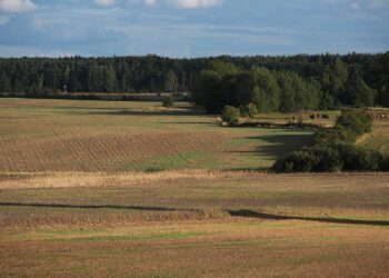 Interwencje rolno-środowiskowo-klimatyczne w 2023 roku - Radio Kielce