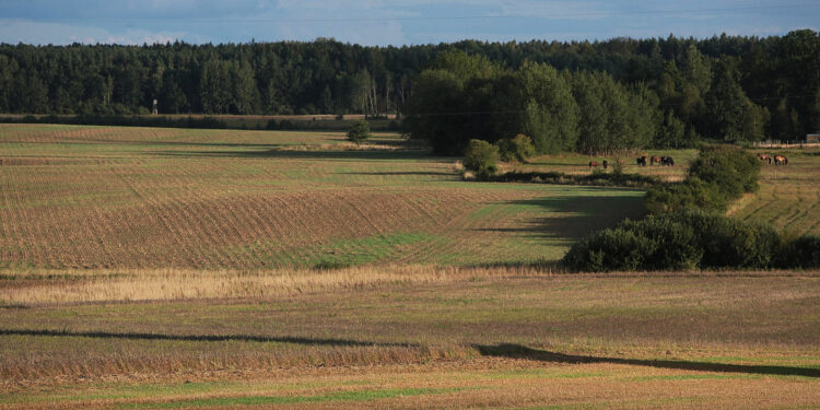Interwencje rolno-środowiskowo-klimatyczne w 2023 roku - Radio Kielce