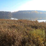 27.10.2022. Cedzyna. Zalew / Fot. Wiktor Taszłow - Radio Kielce