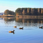 27.10.2022. Cedzyna. Zalew / Fot. Wiktor Taszłow - Radio Kielce