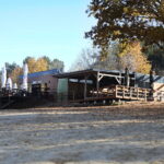 27.10.2022. Cedzyna. Zalew / Fot. Wiktor Taszłow - Radio Kielce