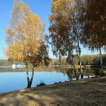 27.10.2022. Cedzyna. Zalew / Fot. Wiktor Taszłow - Radio Kielce