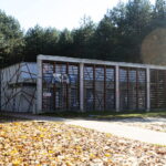 27.10.2022. Cedzyna. Zalew / Fot. Wiktor Taszłow - Radio Kielce