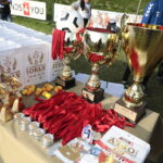 08.10.2022. Jędrzejów. Finał otwartych mistrzostw piłki nożnej o Puchar Wolnej Polski „Świętokrzyskie Orły” / Fot. Wiktor Taszłow - Radio Kielce