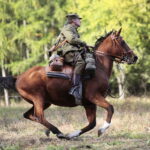 09.10.2022. Tokarnia. Muzeum Wsi Kieleckiej. Widowisko „Szlakiem wrześniowej chwały oręża polskiego” / Fot. Wiktor Taszłow - Radio Kielce