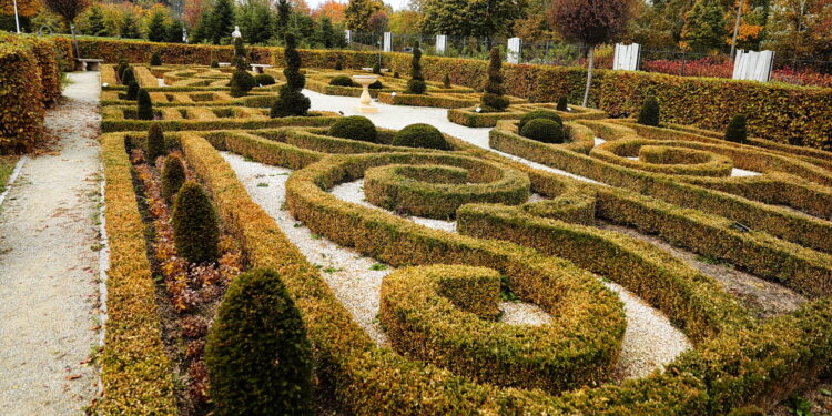 15.10.2022. Kielce. Ogród Botaniczny / Fot. Wiktor Taszłow - Radio Kielce