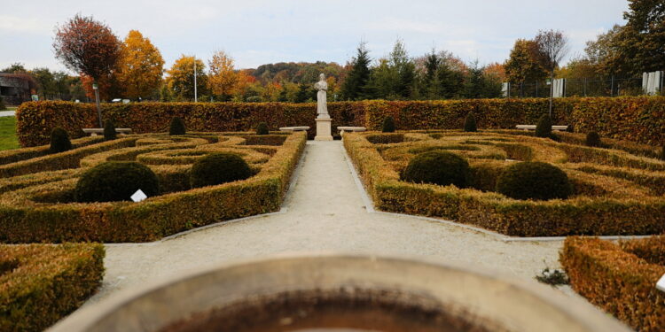 15.10.2022. Kielce. Ogród Botaniczny / Fot. Wiktor Taszłow - Radio Kielce