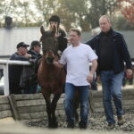 15.10.2022. Oblęgorek. XVII Hubertus Sarmacki w Oblęgorku / Fot. Wiktor Taszłow - Radio Kielce