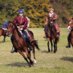 15.10.2022. Oblęgorek. XVII Hubertus Sarmacki w Oblęgorku / Fot. Wiktor Taszłow - Radio Kielce