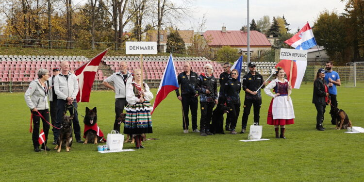 16.10.2022. Kielce. 27. Mistrzostwa Świata Psów w Tropieniu Sportowym / Fot. Wiktor Taszłow - Radio Kielce