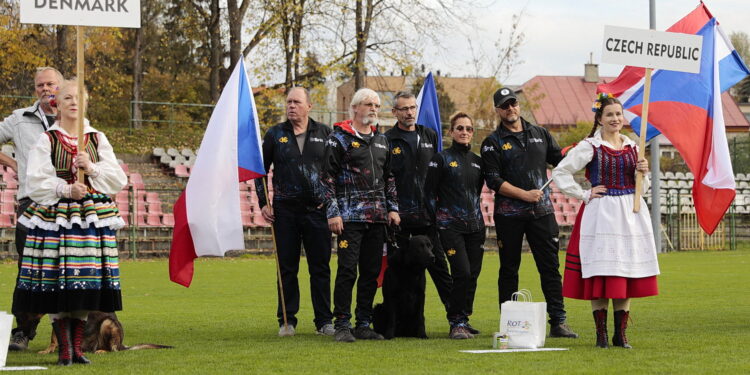 16.10.2022. Kielce. 27. Mistrzostwa Świata Psów w Tropieniu Sportowym / Fot. Wiktor Taszłow - Radio Kielce