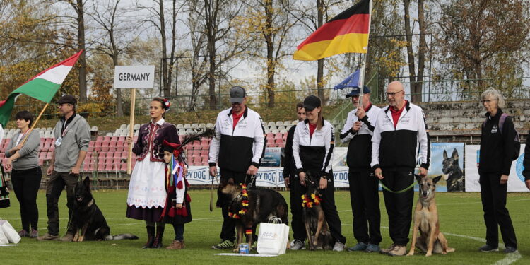 16.10.2022. Kielce. 27. Mistrzostwa Świata Psów w Tropieniu Sportowym / Fot. Wiktor Taszłow - Radio Kielce