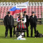 16.10.2022. Kielce. 27. Mistrzostwa Świata Psów w Tropieniu Sportowym / Fot. Wiktor Taszłow - Radio Kielce