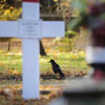 Zapomnianym bohaterom - Radio Kielce Kielce. Cmentarz Partyzancki / Fot. Wiktor Taszłow - Radio Kielce